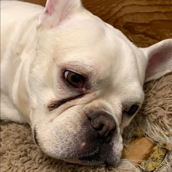 Meet your Posher, Jim - Picture 1 of 1